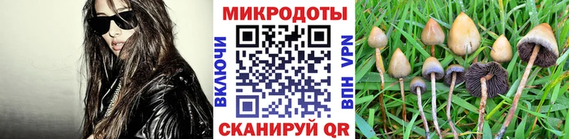 Псилоцибиновые грибы MAGIC MUSHROOMS  Можайск 